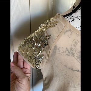 Fun & Flirt Sheer Taupe Top with Gold Sequin Sleeves